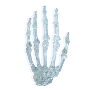 MÃO EM ACRÍLICO - ESQUERDA - cód. 1001 A