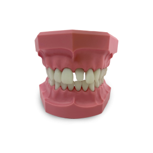 MANEQUIM PARA ESCANEAMENTO COM PREPARO - cód. 12842