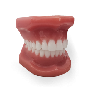 MANEQUIM ORTO ALINHADOR - cód. 12928