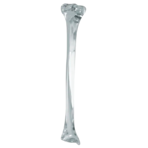 TÍBIA ACRILICO CHAMPAGNE - ESQUERDA - cód. C2026A