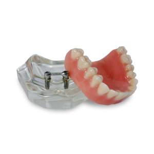 MAXILA ACRÍLICA BARRA CLIP - cód. 4215 A